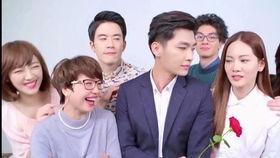 后菜鸟的灿烂时代电视剧在线观看,青春追梦，职场激战  第2张