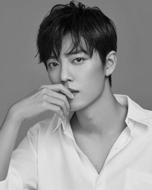 娱乐圈吃瓜爆料肖战小说  第3张