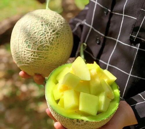 娱乐圈吃瓜有什么好处  第3张